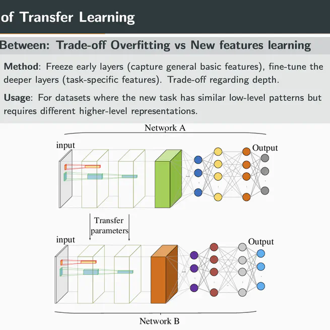 Transfer Learning