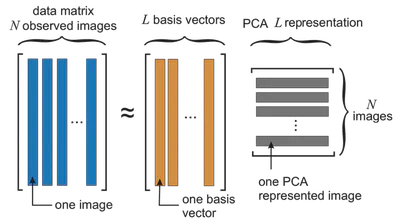 Ejemplo de eigenfaces (PCA en imágenes)