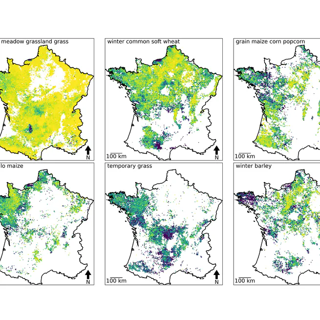 Boosting crop classification by hierarchically fusing satellite, rotational, and contextual data