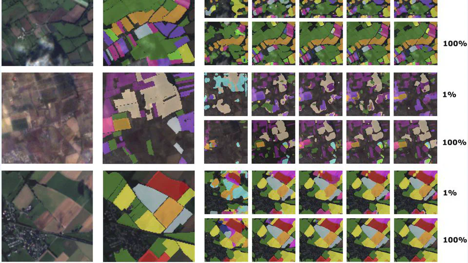 Shaping Fine-Tuning of Geospatial Foundation Models: Effects of Label Availability and Temporal Resolution